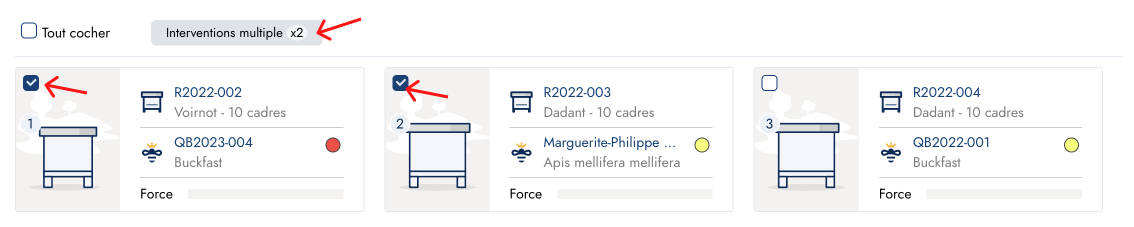 Intervention multiple sur les ruches